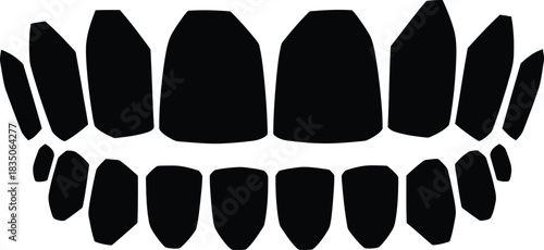 Black Silhouette Of Upper And Lower Sets Of Human Teeth In A Row Keywords: teeth, human teeth, dental, dentistry, oral hygiene, smile, mouth, anatomy, medical, health