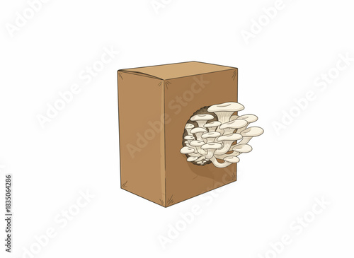 Growing Oyster Mushrooms in a Cardboard Box A Simple Guide for Urban Farmers