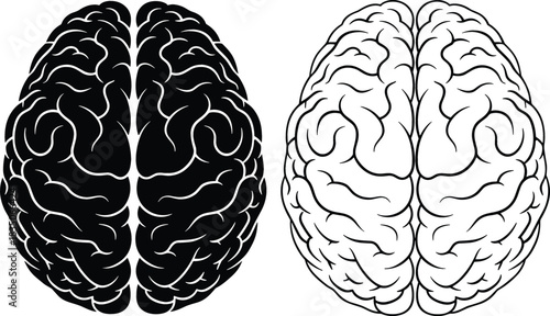 Two stylized human brains one black silhouette and one line drawing