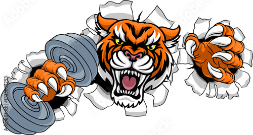 A tiger weight lifting gym animal sports mascot holding a dumbbell weight in his claw