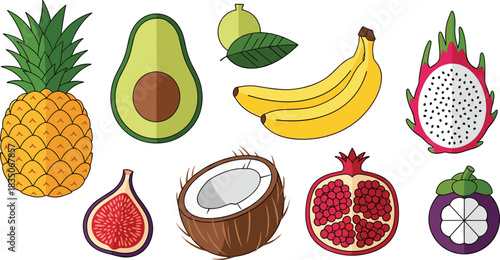 Colorful tropical fruit illustration collection featuring pineapple avocado banana coconut dragon fruit fig pomegranate mangosteen and lime in vibrant design