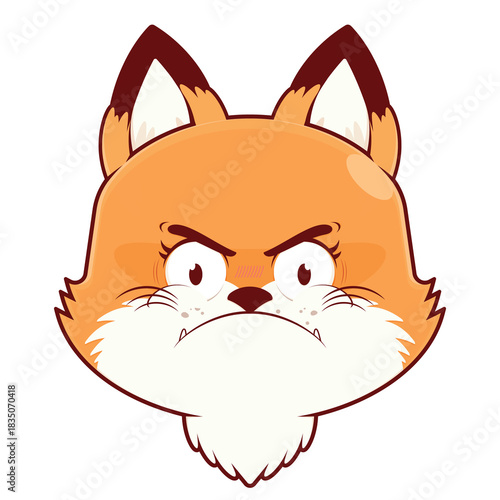 Photography fox angry face cartoon cute