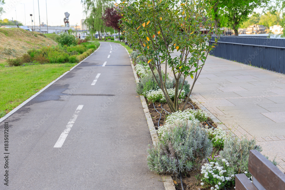Obraz premium Path with a tree in the middle and a bench on the right side