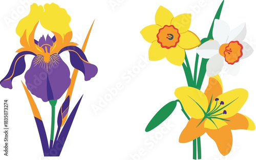 Vibrant spring flowers illustration iris daffodil and lily on white background