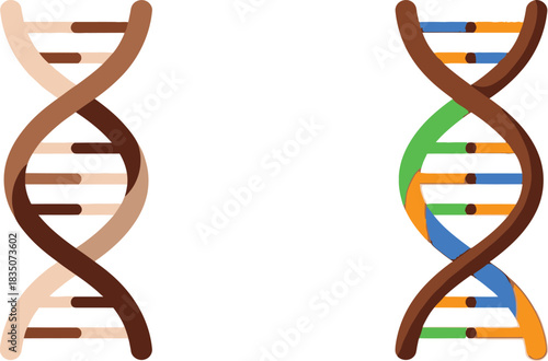 Dna molecule structures brown and colorful double helix on white background