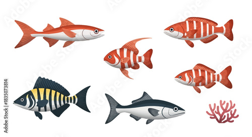 Various colorful fish swimming in the ocean 1.