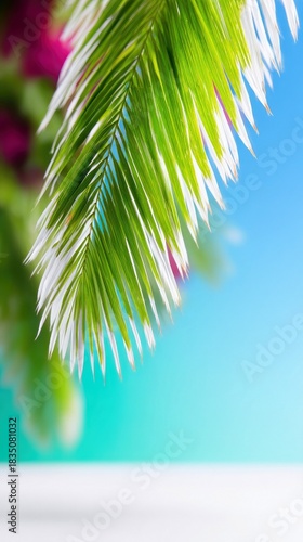 Palm Leaf Detail Against Blue Sky