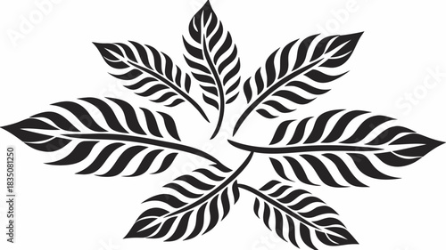 Stylized feather arrangement with seven feathers radiating from the center in black and white color scheme