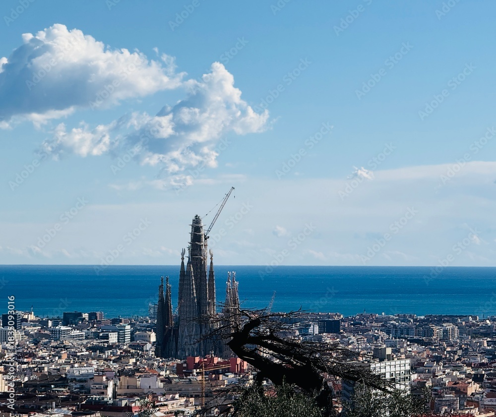 Obraz premium barcelona