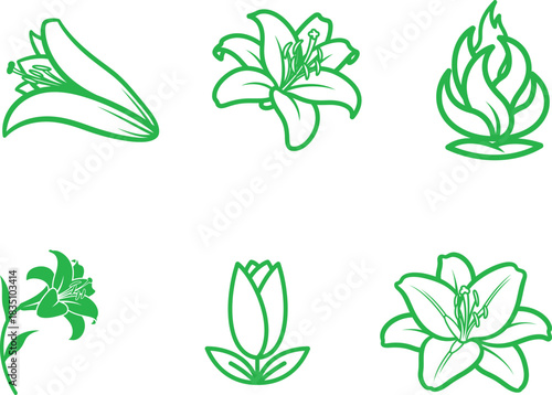 Green Floral Vector Set of Flower Blossom Illustrations for Botanical Designs and Springtime Projects Creating Beautiful Flower Arrangements and Floral Decoration with Clean Line Art