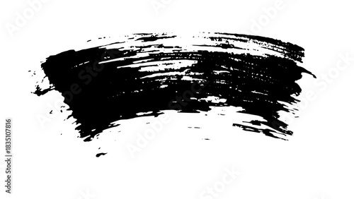 Grunge ink splashes. Grungy black paint splat.