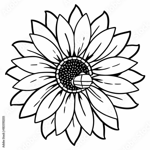 Close up view of a bee pollinating a vibrant sunflower