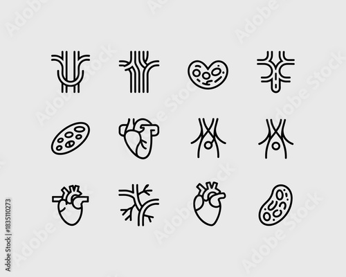 Comprehensive minimalist set of human anatomy line icons collection displaying complex biological and medical symbols of the cardiovascular system including the heart, blood vessels, capillaries, arte