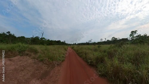 Driving car in wild jungle on the Congo Basin rainforest in the democratic republic of Congo.
