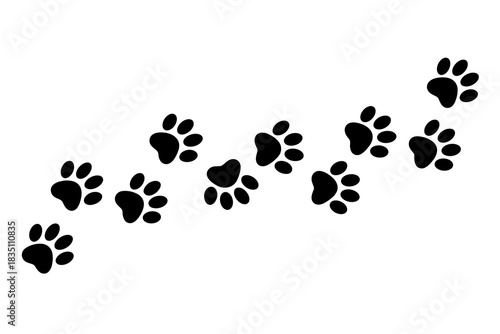 Minimalist black and white paw prints forming a diagonal path or walking track across a bright isolated background, perfect graphic resource for pet care, veterinary clinics, adoption agency marketing