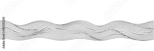Abstract dynamic flowing smooth parallel curved lines creating a rhythmic black and white border graphic element, suitable for corporate business technology presentations, website background design, d