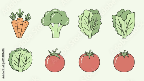 Collection of Fresh Vegetables Including Carrots Broccoli and Tomatoes.