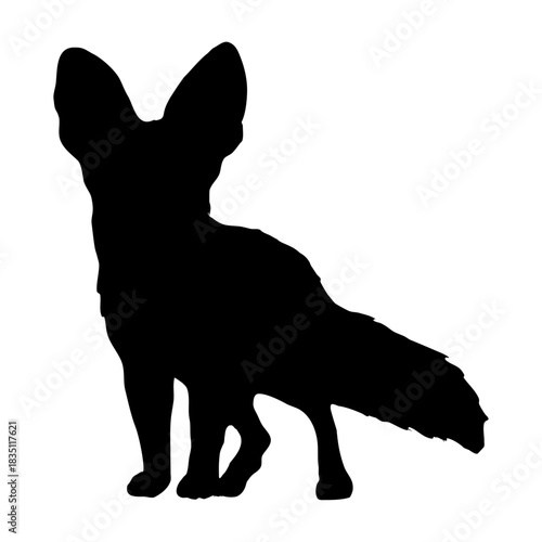 Silhouette of a desert fennec fox. Realistic vector animal