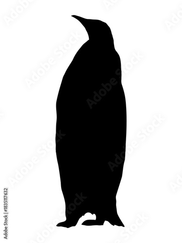 Emperor penguin silhouette. Realistic vector animal