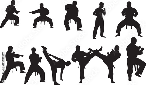 Dynamic collection of martial artist silhouettes in action poses, illustrating various kicks, punches, and traditional stances