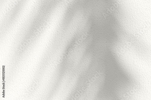 Soft palm leaf shadows cast on a light neutral background. Color of the Year 2026, Cloud Dancer
