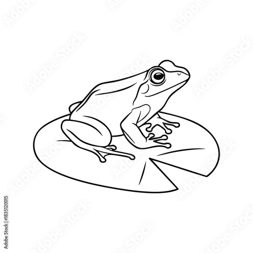 A black line drawing of a frog sitting on a lily pad with a white background.