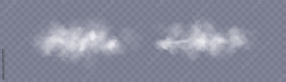 Fototapeta premium A realistic white smoke effect with soft transparency and smooth dispersion on a transparent background. Ideal for atmospheric compositions, weather designs, and steam-based image elements.