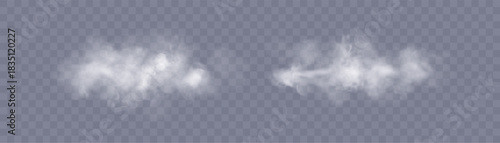 A realistic white smoke effect with soft transparency and smooth dispersion on a transparent background. Ideal for atmospheric compositions, weather designs, and steam-based image elements.	
