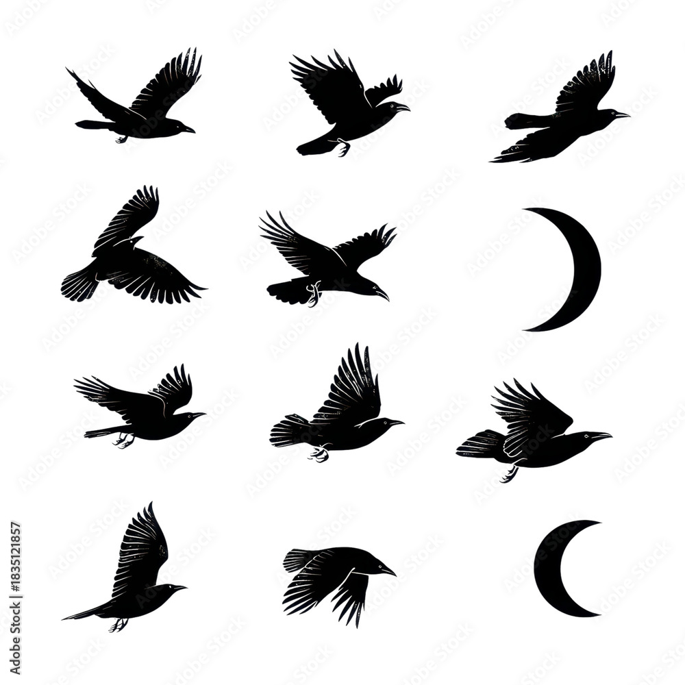 Fototapeta premium Set of 12 black crow silhouettes with crescent moon icons isolated on Transparent Background
