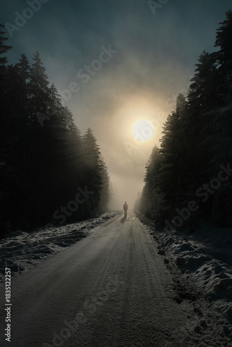 man walking on forest road