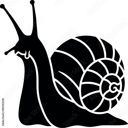 Garden Snail Shell Body vector illustration silhouette cricut design