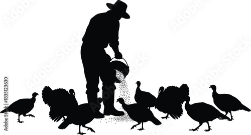 Turkey, feeding, silhouette, posture, gesture, bucket, feed, ground, hat, boots, group, animal, rural, farm, vector, black, pose, setup, livestock, flavector