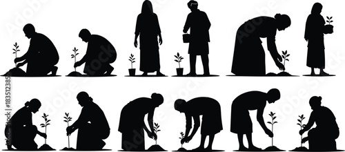 Sapling, planting, silhouette, posture, gesture, tree, soil, pot, kneeling, squatting, tool, vector, black, pose, setup, environment, reforestation, gardening, manual, flavector