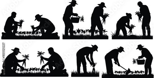 Carrot, harvesting, silhouette, posture, gesture, basket, hoe, kneeling, digging, bending, field, garden, hat, vector, black, pose, setup, manual, rural, flavector