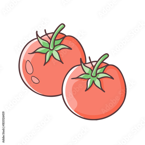tomato isolated on white
