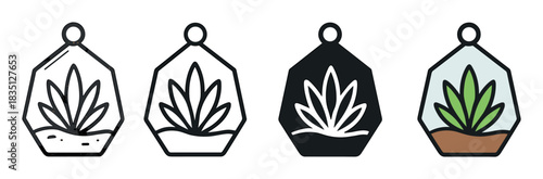 Terrarium plant icon set in four styles showing a succulent in a geometric glass container, including outline, glyph, hand-drawn, and colored vector illustrations