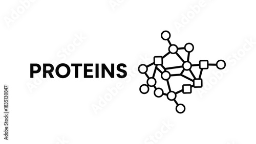 Protein Molecular Structure: Minimalist Vectors for Biochemistry and Biology