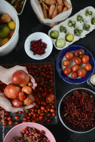 Children's hands holding ripe large tomatoes above the autumn harvest