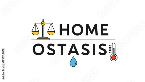 Homeostasis and Physiological Balance Concept Icon. A flat design colored illustration combining a scale, a thermometer, and a water droplet.