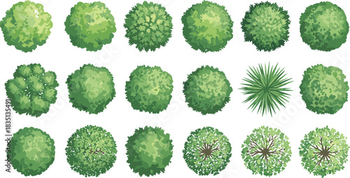 Top View Tree and Plant Vector Collection, Detailed Architectural Landscape Design Elements, Assorted Deciduous, Evergreen, and Tropical Shrubs, Blueprint Drawing Icons,