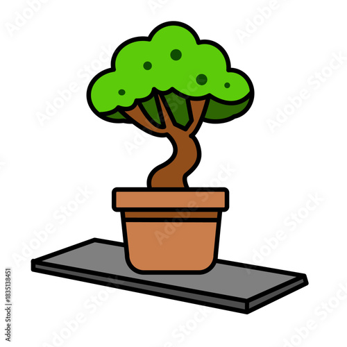 Tiny Bonsai Tree on Shelf