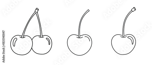 Three distinct line art drawings of cherries, showcasing variations in stem and cluster arrangement, presented on a clean white backdrop.
