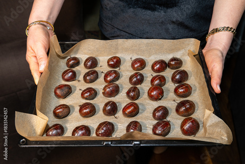 Chestnuts, prepared for baking, scored on top, on a baking sheet. A taste of fall and winter.