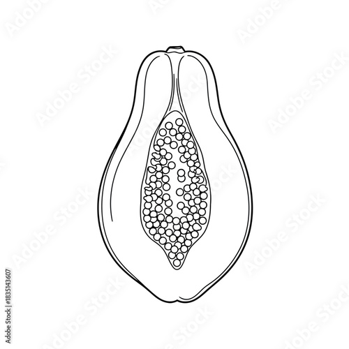 A simple, clean line art illustration of a papaya cut in half, revealing its seeds and flesh.