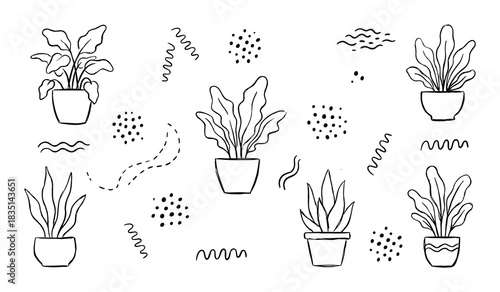 Assorted potted plants illustrations. Abstract shapes and dots create decorative background elements.