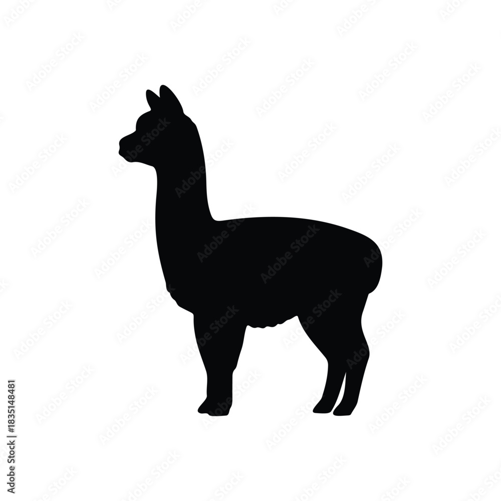 Naklejka premium Cute aplaca silhouette vector flat illustration design.