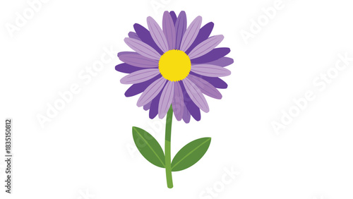 Delightful single purple aster flower with a sunny yellow center brings a touch of vibrant joy to any spring or summer floral design