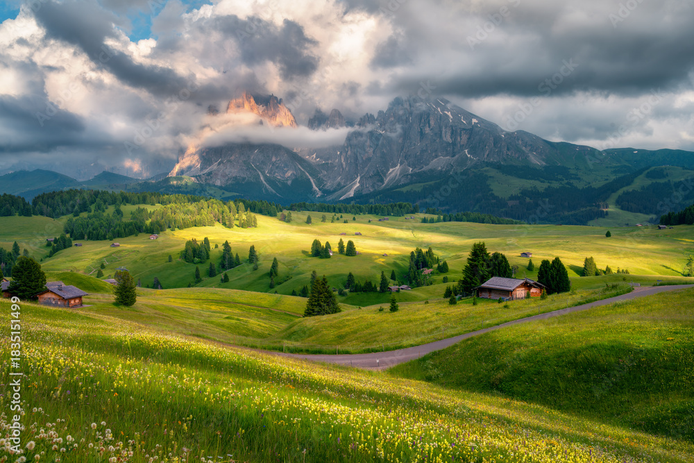 Naklejka premium Green alpine meadows with flowers and wooden houses in Alpe di Siusi with mountains partially covered by clouds during summer sunset. Dramatic landscape with rocks, green hills in Dolomites, Italy