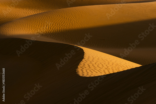 View of sun-kissed dunes ripple and undulate across the stark landscape, shadows dance, creating an endless sea of textured sand, Rub' al-Khali, United Arab Emirates.