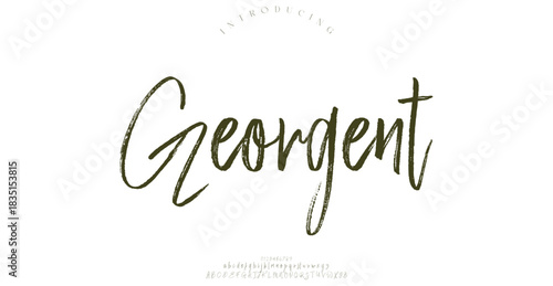 High-contrast modern serif font with clean curves and stylish elegance, ideal for high-end design and branding